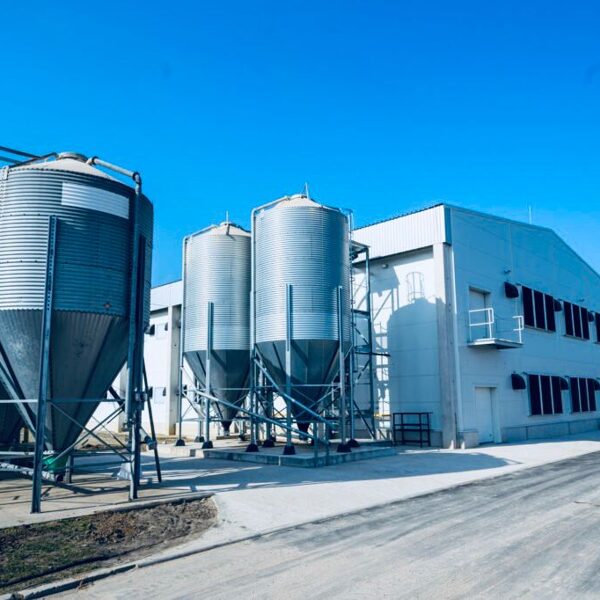 Balticovo, Iecava, 2025/2026.g.